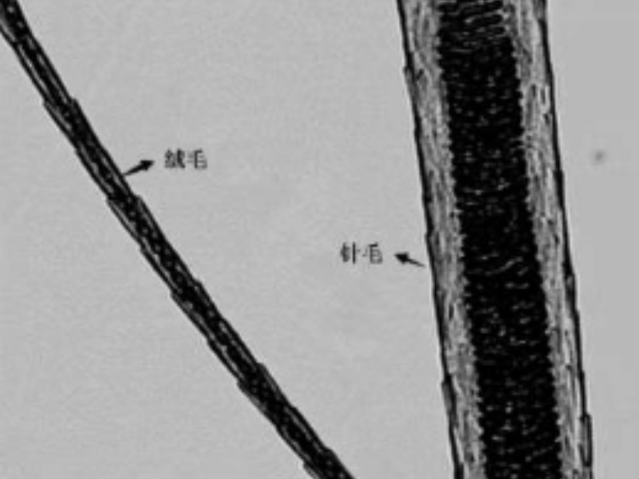 Ϲ(28NG)ٷվ-Ʒ