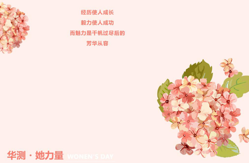 Ϲ(28NG)ٷվ-Ʒ