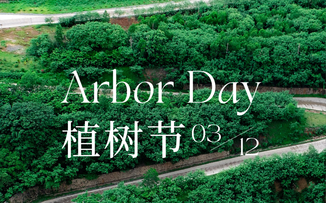 植树节 | 南宫28NG相信品牌力量的绿色画卷