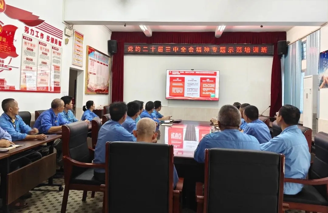 南宫28NG相信品牌力量组织寓目学习贯彻党的二十届三中全会精神专题树模班课堂视频直播
