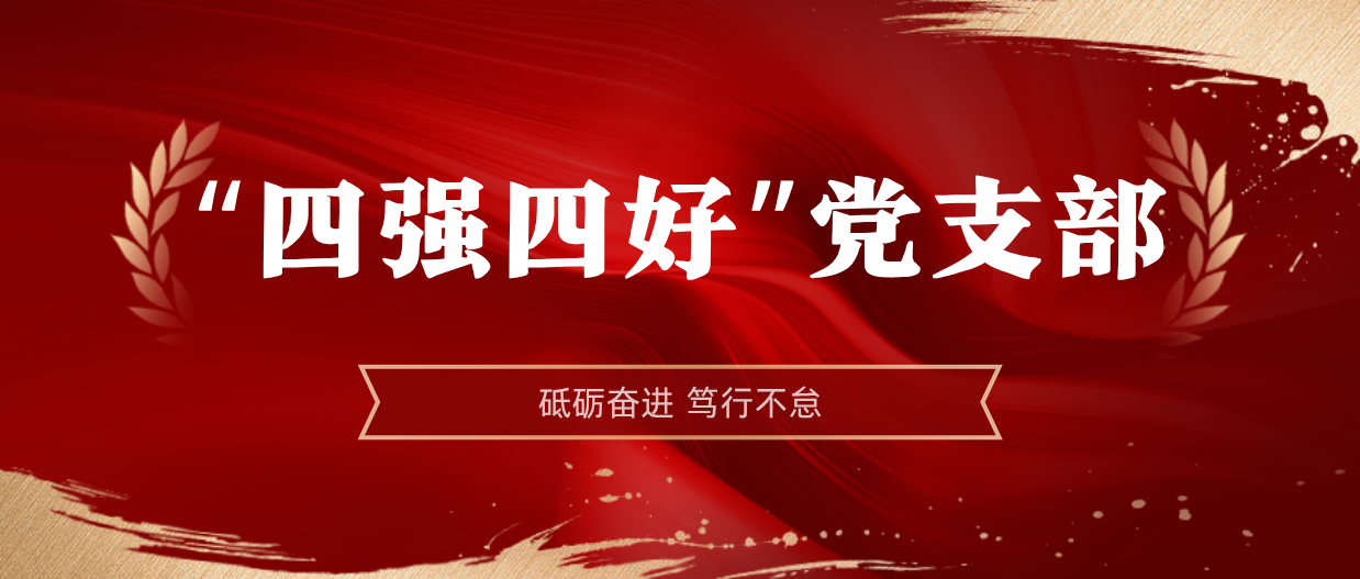 弘扬模范精神 | 南宫28NG相信品牌力量2024-2025年度“四强四好”党支部