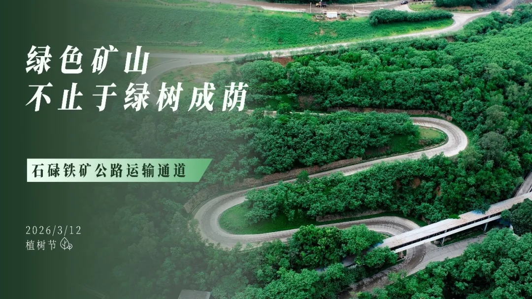植树节 | 绿色矿山，，，，，，不止于绿树成荫